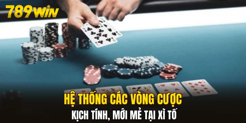 Hệ thống các vòng cược kịch tính, mới mẻ tại Xì Tố
