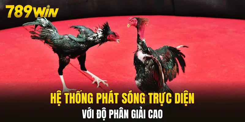 Hệ thống phát sóng trực diện với độ phân giải cao